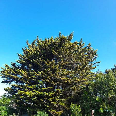 Апартаменти Le Stud' A Saint Pierre D'Oleron ! Номер фото