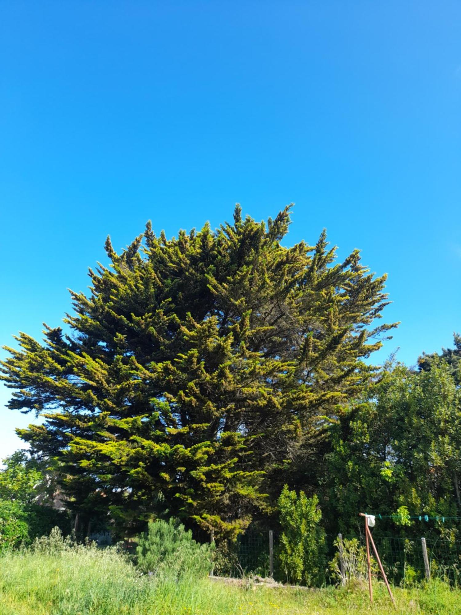 Апартаменти Le Stud' A Saint Pierre D'Oleron ! Номер фото